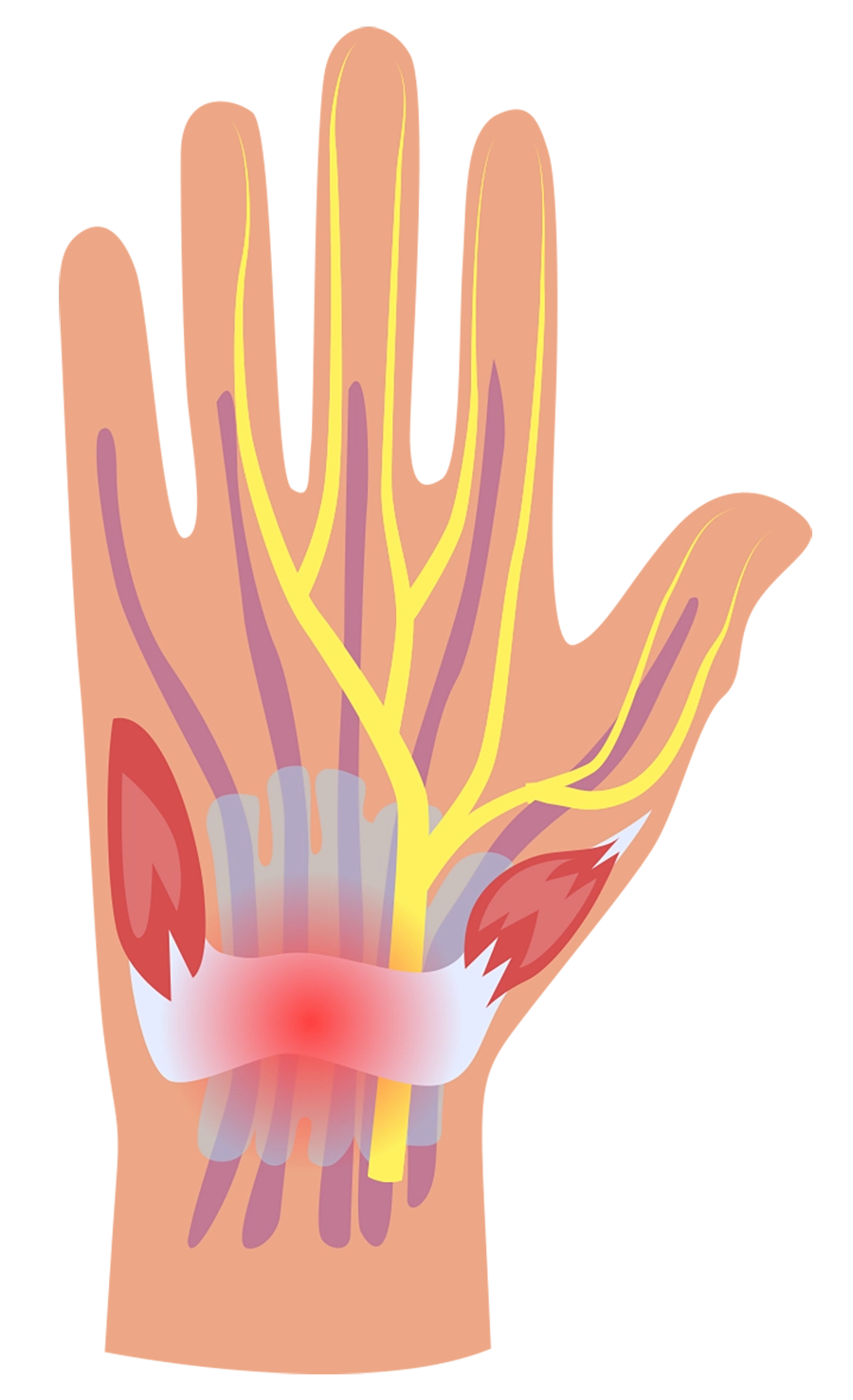 中壢神經 內科推薦